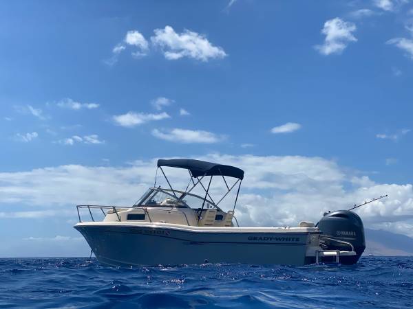 2018 Grady-White, bílá, dovoz USA — foto 4 z 11
