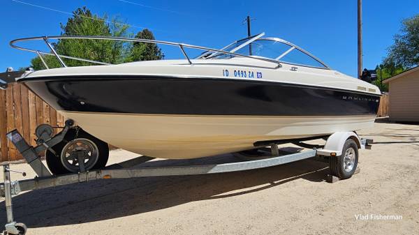Bayliner, dovoz USA — foto 1