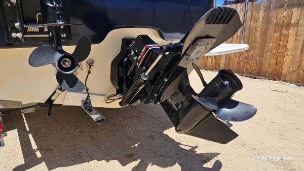 Bayliner, dovoz USA — foto 6 z 12