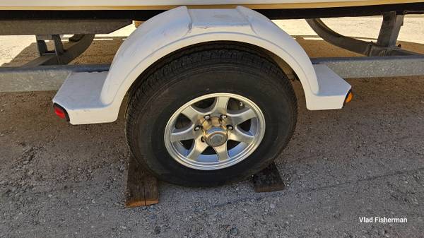 Bayliner, dovoz USA — foto 8 z 12