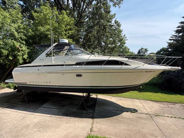 Bayliner, dovoz USA — foto 1