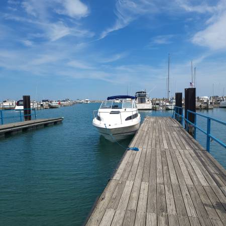 Bayliner, dovoz USA — foto 2 z 9