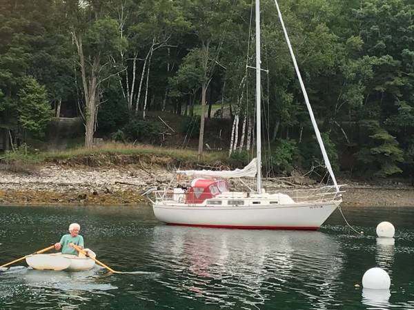 Catalina, dovoz USA — foto 2 z 12
