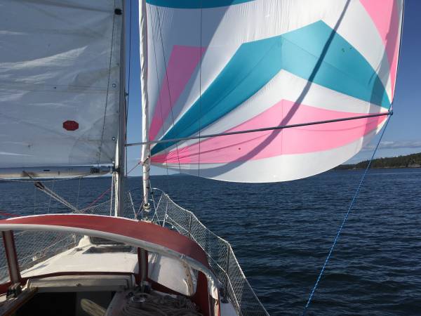 Catalina, dovoz USA — foto 3 z 12
