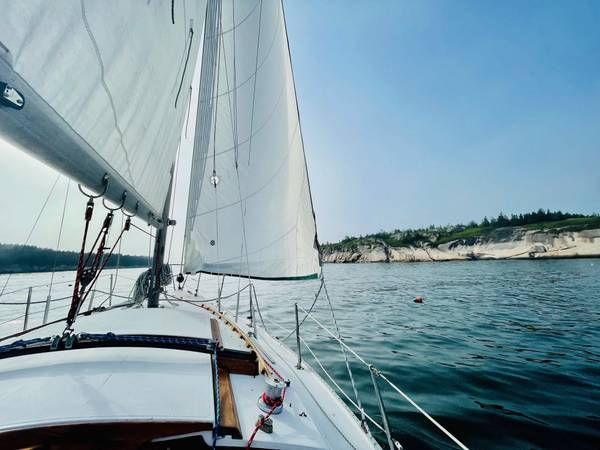 Catalina, dovoz USA — foto 4 z 12