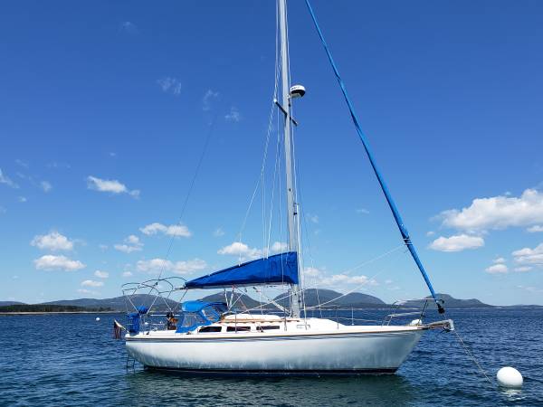 Catalina, dovoz USA — foto 4 z 12