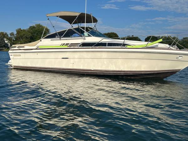 Sea Ray, dovoz USA — foto 1