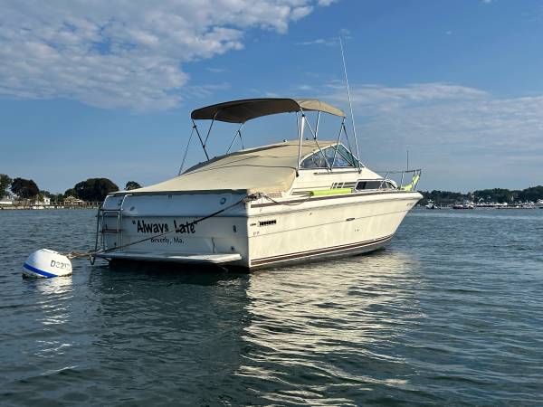 Sea Ray, dovoz USA — foto 2 z 12