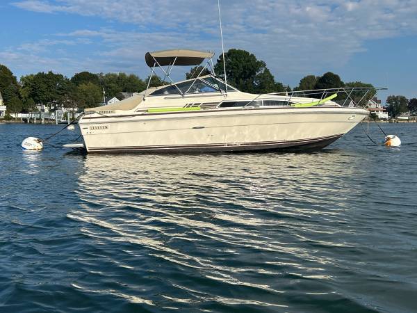 Sea Ray, dovoz USA — foto 3 z 12