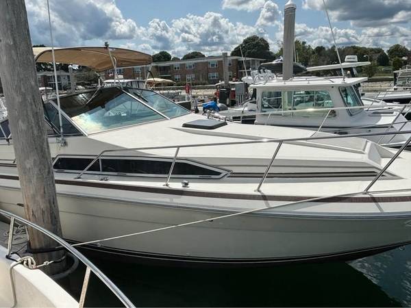 Sea Ray, dovoz USA — foto 4 z 12