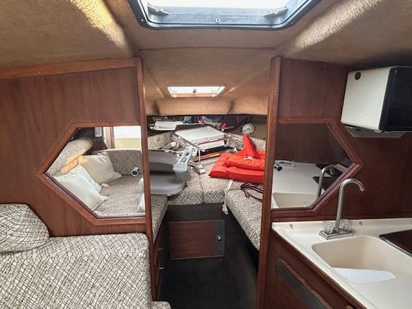 Sea Ray, dovoz USA — foto 6 z 12
