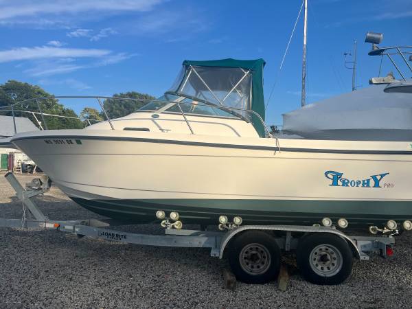 Bayliner, dovoz USA — foto 1
