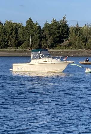 Bayliner, dovoz USA — foto 10 z 10