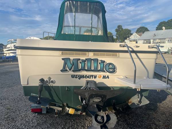 Bayliner, dovoz USA — foto 2 z 10