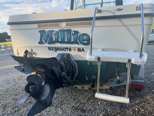 Bayliner, dovoz USA — foto 7 z 10