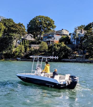 2019 Bayliner, dovoz USA — foto 2 z 4