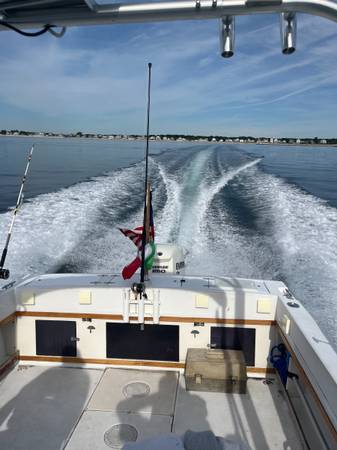 Grady-White, bílá, dovoz USA — foto 4 z 10
