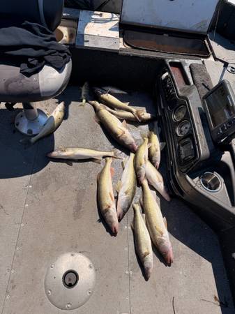 2016 Crestliner, dovoz USA — foto 9 z 9