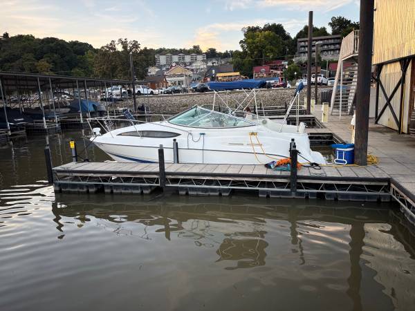 Bayliner, dovoz USA — foto 2 z 12