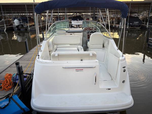 Bayliner, dovoz USA — foto 3 z 12