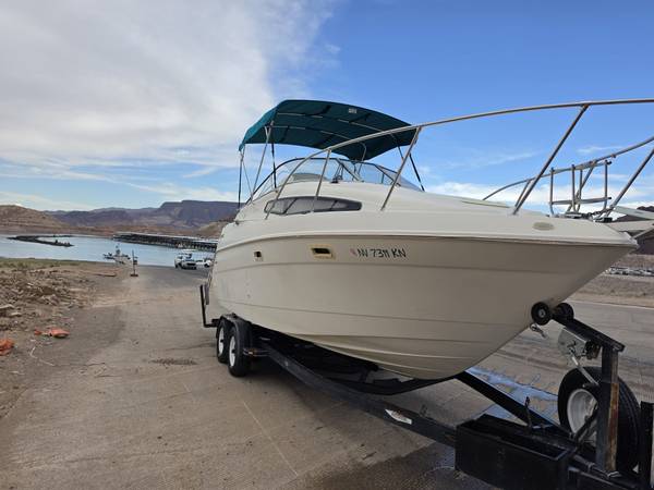 Bayliner, dovoz USA — foto 2 z 12