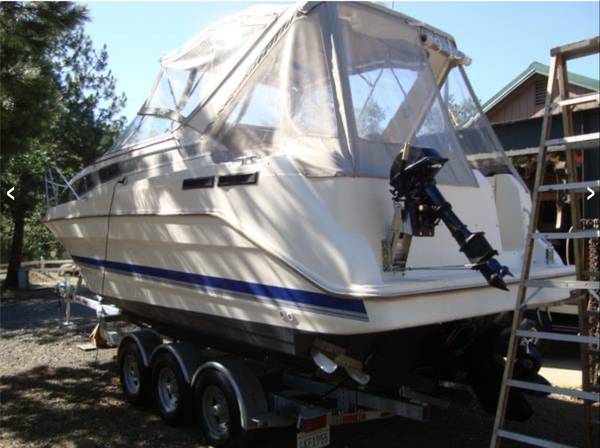 Bayliner, dovoz USA — foto 1