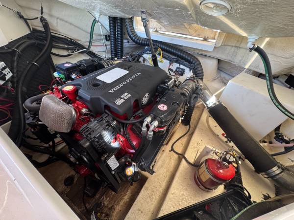 Chaparral, dovoz USA — foto 11 z 12