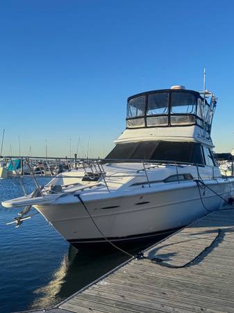 Sea Ray, dovoz USA — foto 1
