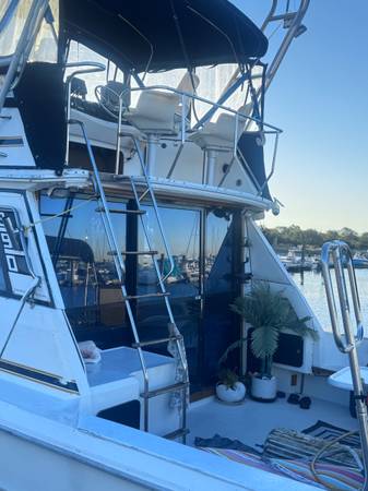 Sea Ray, dovoz USA — foto 2 z 12