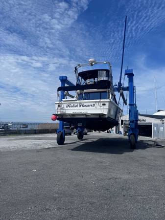Sea Ray, dovoz USA — foto 4 z 12