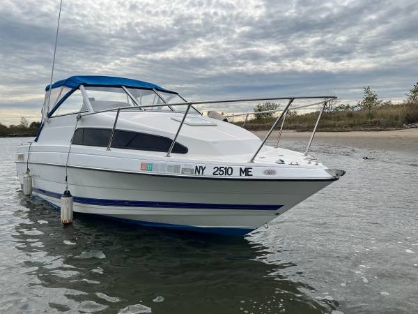 Bayliner, dovoz USA — foto 2 z 12