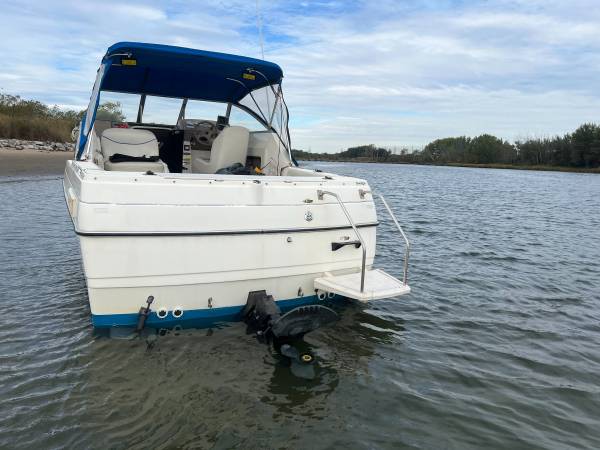 Bayliner, dovoz USA — foto 4 z 12