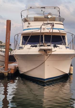 Catalina, dovoz USA — foto 4 z 4