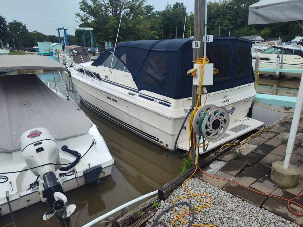 Sea Ray, dovoz USA — foto 12 z 12