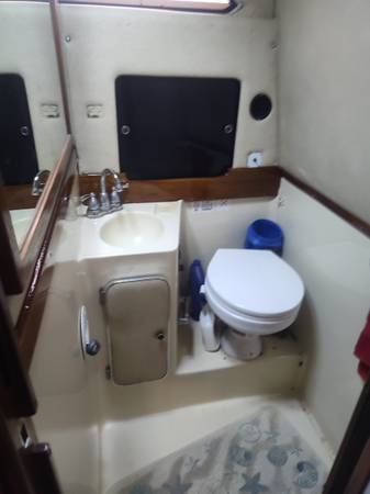 Sea Ray, dovoz USA — foto 3 z 12