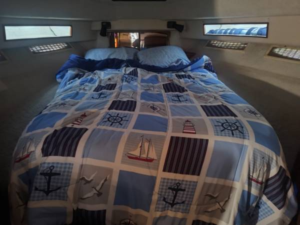 Sea Ray, dovoz USA — foto 6 z 12