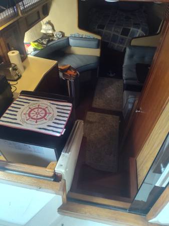 Sea Ray, dovoz USA — foto 7 z 12