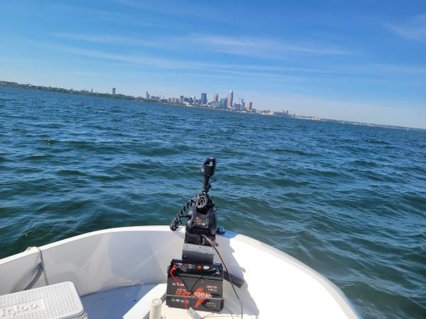 Bayliner, dovoz USA — foto 6 z 6