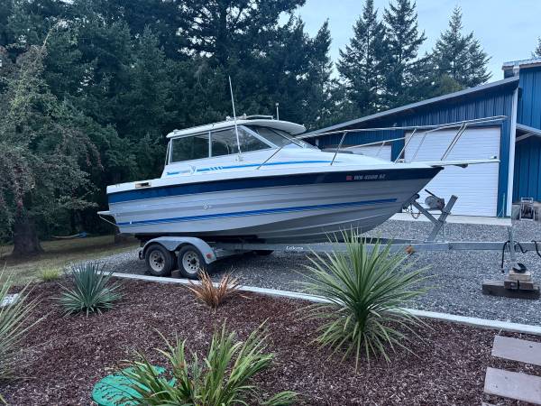 Bayliner, dovoz USA — foto 1