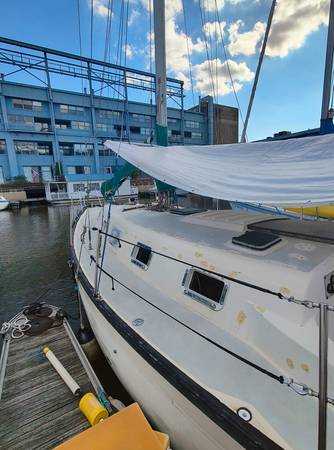 Catalina, dovoz USA — foto 2 z 12