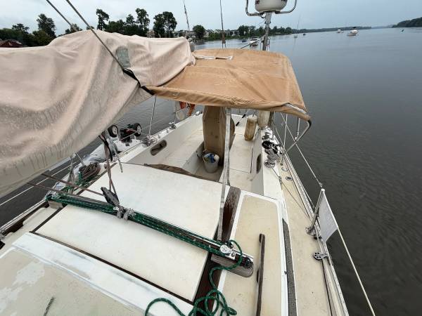 1981 Catalina, dovoz USA — foto 3 z 12