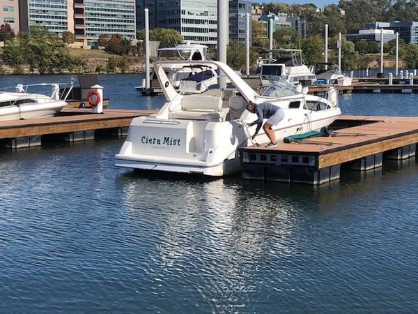 Bayliner, dovoz USA — foto 1