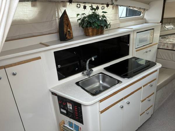 Bayliner, dovoz USA — foto 11 z 12