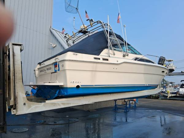 Sea Ray, dovoz USA — foto 3 z 12