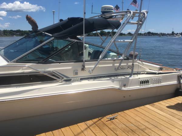 Sea Ray, dovoz USA — foto 4 z 12