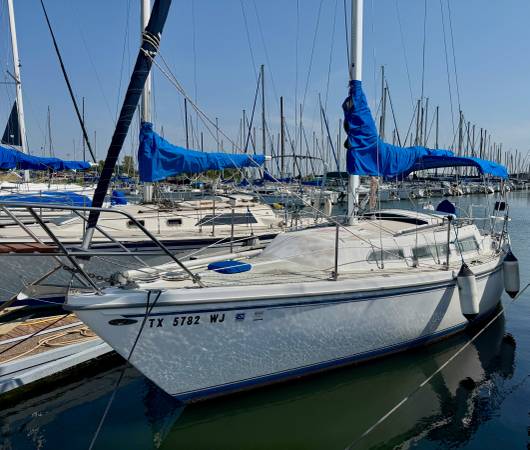 Catalina, dovoz USA — foto 1