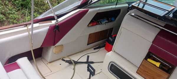 Sea Ray, dovoz USA — foto 4 z 7