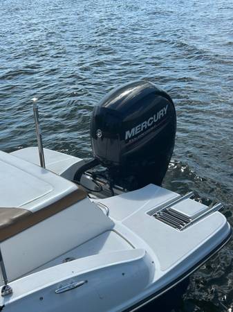 Sea Ray, dovoz USA — foto 2 z 8