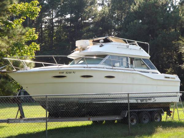 Sea Ray, dovoz USA — foto 1