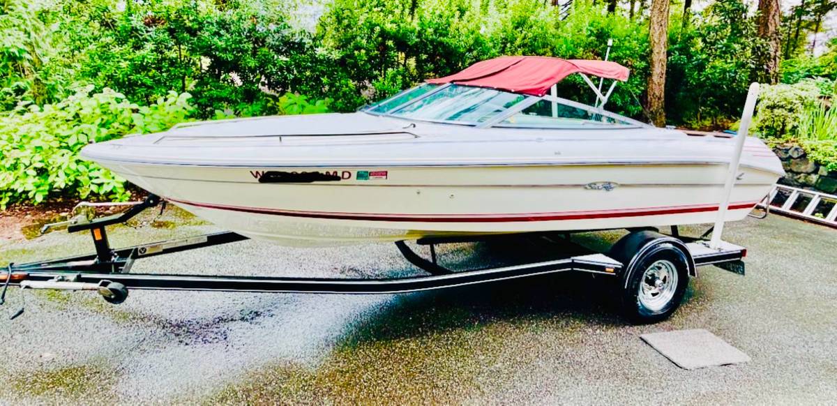 Sea Ray, dovoz USA — foto 1